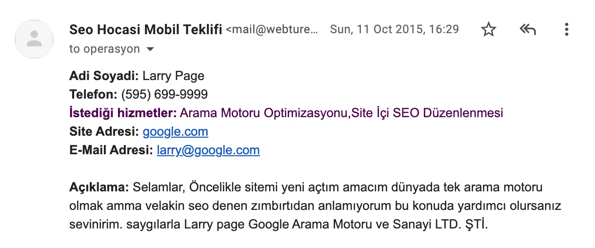 Larry Page SEO Teklifi