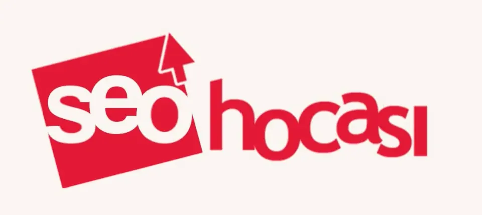 SEO Hocası Kriz Dönemi