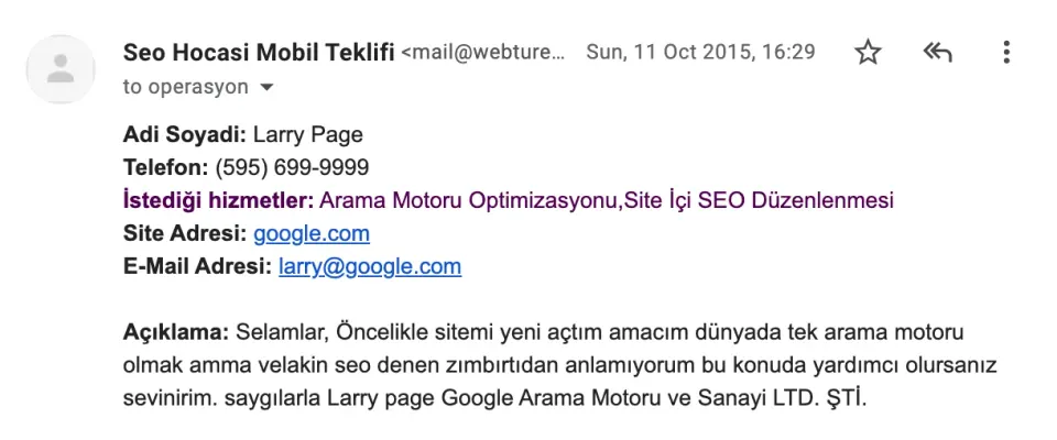 Larry Page SEO Teklifi